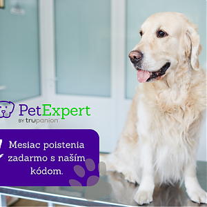 Sme súčasťou PetExpert rodiny: S&nbsp;našim kódom máte mesiac poistenia zadarmo