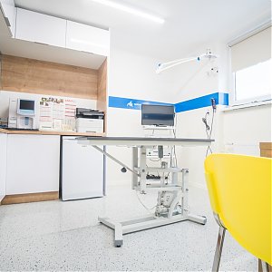 V príjemnom prostredí sa cítia lepšie aj zvierací pacienti